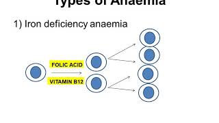 Anaemia Haematinics amp Elemental Iron 2ndApril2020 [upl. by Anirbed307]