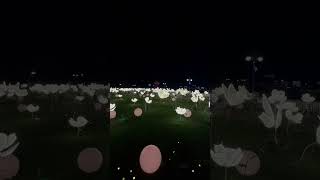 Flower Festival 2024 at Jahili Park Al Ain UAE [upl. by Sharp]