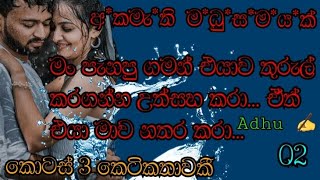 Anjana dhushyantha රචනයක්  අකමැතී මampධුසmayak  randige panhida beautiful romantic novel [upl. by Torrie]