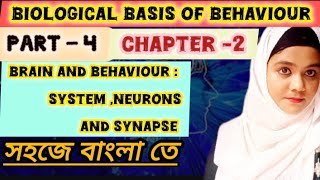 Biological basis of behaviour ✓ 🥰  Neuron synapse system 😃 bscnursing viralvideos [upl. by Mannes666]