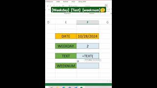 weekday  text  weeknum  ytshorts exceltutorial exceltricks excelvideos shorts [upl. by Rauch]