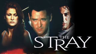 The Stray  Full Movie [upl. by Paschasia385]