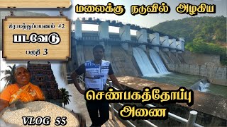 Shenbagathoppu dam surrounded by Mountains  Padavedu  Tiruvannamalai  Village Travel 2  VLOG 55 [upl. by Enotna271]