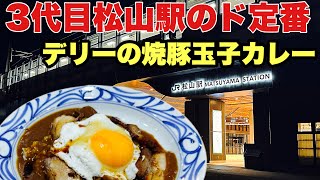 【3代目松山駅】だんだん通りに出来た「えひめしや」で伝説のカレーを食べる！！ [upl. by Gyatt94]