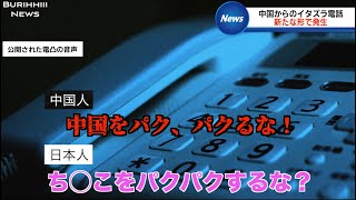 【放送事故】中国のイタズラ電話が完全にコントになってしまう [upl. by Cirdet]