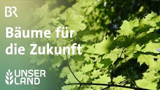 Bäume für die Zukunft  Unser Land  BR Fernsehen [upl. by Fulbright846]