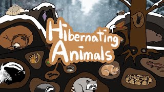 Hibernating Animals  What kind of Animals hibernate during the winter  Kids Draw [upl. by Ynnavoj151]