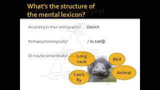 Cognitive Psychology  Session 4 [upl. by Dempsey]