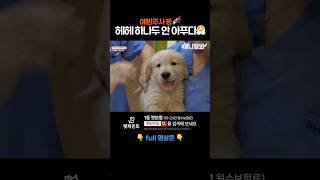 하나두 안 아푸다🐶 애니멀봐 shorts [upl. by Jania]