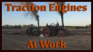 Traction Engines At Work [upl. by Doownel]