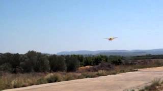 14 Piper Cub FT160 Twin Cylinder Ringed Engine 2 [upl. by Hgielar423]