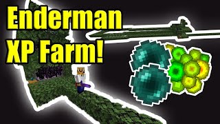 EASIEST ENDERMAN FARM Tutorial INASNE XP  Minecraft 117 [upl. by Neyu]