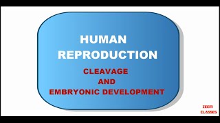 CLASS  12  CHAPTER  3  TOPIC  IX  CLEAVAGE AND EMBRYO DEVELOPMENT IN HUMANS [upl. by Calica581]