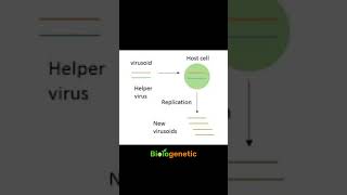 virusoid biologenetic biologyinbengali shortsvideo shorts neetbiology neetexam [upl. by Eimam533]