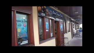 Centro de Buceo OCEAN DREAMS TENERIFE [upl. by Otreblide]