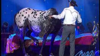 Tony Hocheger  Le cheval  LE PLUS GRAND CABARET DU MONDE [upl. by Eniagrom]