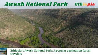 Ethiopia’s Awash National Park A popular destination for all travelers  Amazing Ethiopia [upl. by Trevlac]