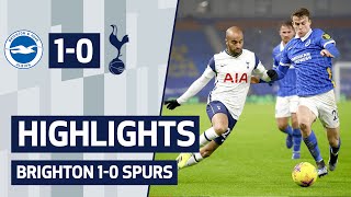 HIGHLIGHTS  BRIGHTON 10 SPURS [upl. by Neerom152]