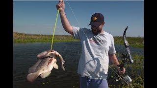 Bowfishing for tilapia [upl. by Mahgirb]