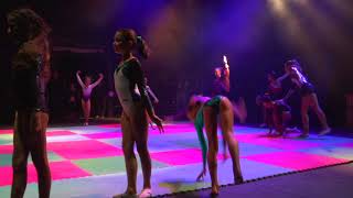 Fête des Chênes Verts du Chesnay 2017  Gym 1 [upl. by Zertnom823]