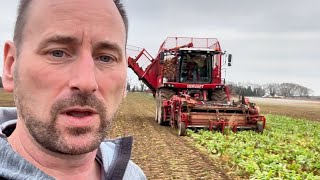 VERVAET BEET EATER HARVESTER DOES JUST THAT britishfarming [upl. by Rod]