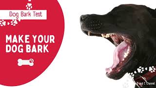 Make Your Dogs Bark Do the Dog Bark Test for 2 minutes [upl. by Trixi]