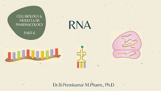 RNA  CBMP  Part6 [upl. by Anstus]