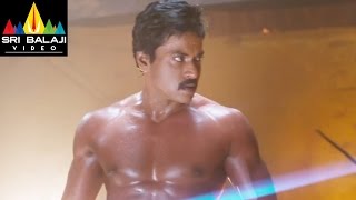 MrPellikoduku Movie Sunil Powerful Fight Scene  Sri Balaji Video [upl. by Saile674]