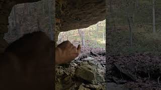 DEADHEAD found out Bankhead National Forest publiclandhunting [upl. by Stanfill]