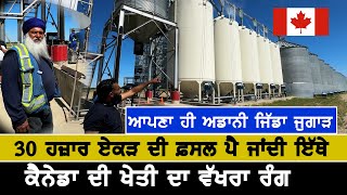 ਕਿੱਥੇ ਜਾਂਦੀ 30 ਹਜ਼ਾਰ ਏਕੜ ਦੀ ਕਣਕ BIGGEST Grain Storage in Canada [upl. by Orrin]