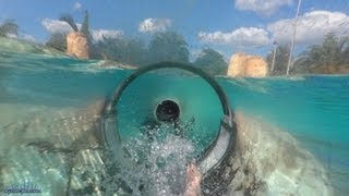 Dolphin Plunge Body Slide Both Slides HD POVS Aquatica Seaworld Water Park Orlando [upl. by Horbal]