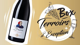 Crozes Hermitage Rouge 2017 quot Le Zouave quot Domaine Esprit [upl. by Nivlen]