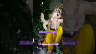 Radha ashtami shopping priyankapanditofficial6820 shriharivansh radheradhe shopping laddugopal [upl. by Dame]