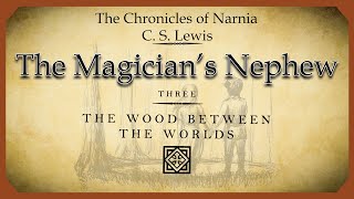 THE MAGICIANquotS NEPHEW  CHAPTER 3  THE WOOD BETWEEN THE WORLDS  The Chronicles of Narnia [upl. by Seow]