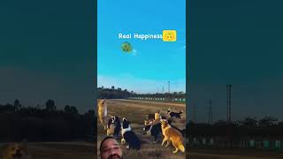 real Madrid happiness music song dog doglover puppy bollywood funny trending [upl. by Free547]