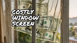 Is Your OLD WINDOW SCREEN Costing You Money [upl. by Ecnaret]