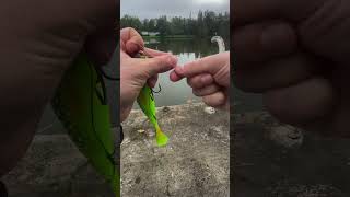 Stylo canne a pêche  fishingvideo fishing pecheur [upl. by Idoc]