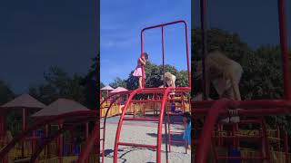 kids having fun in Bowring Park roadtrip playground kids havingfun [upl. by Iru]