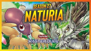 Best New Naturia Deck  Yugioh Master Duel  Season 27 [upl. by Gorrian]