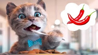 Little Kitten Preschool Adventure Educational Games Play Fun Cute Kitten Pet Care Learning Gameplay [upl. by Atkins]