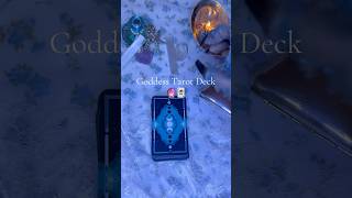 Tippy tappy a mermaid is calling you for a reading tarot mermaidcore tarotreading asmr [upl. by Akinohs254]