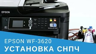 Установка СНПЧ на МФУ Epson WorkForce WF3620 [upl. by Mell]