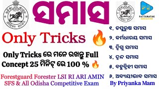 Odia Grammar Samasa Concept Class by PATTANAYAKEDUCATION  Samasa Tricks Class by Priyanka Mam [upl. by Trula]