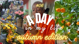 DAILY VLOG 06  🙀🙀 This is How The Autumn is Treating Me 🙀🙀 [upl. by Ateiram951]