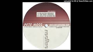 Pete Moss  Time Travel [upl. by Hanahsuar]