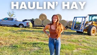 Haulin HAY 🐮 [upl. by Jennie475]