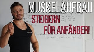 Muskelaufbau für Anfänger  So steigerst du dich Trainingsplanung [upl. by Kernan]