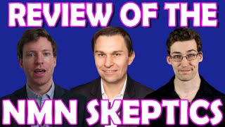 My Review of the YouTube NMN Skeptics [upl. by Philbert]