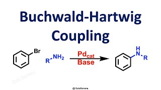 BuchwaldHartwig Coupling [upl. by Htelimay733]