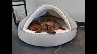 Hochwertige Hundebetten  entdecke den mypado® Komfort [upl. by Nerta]